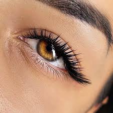 Eyelash Application